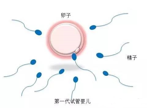 同性借卵助孕包生儿子生殖医学中心